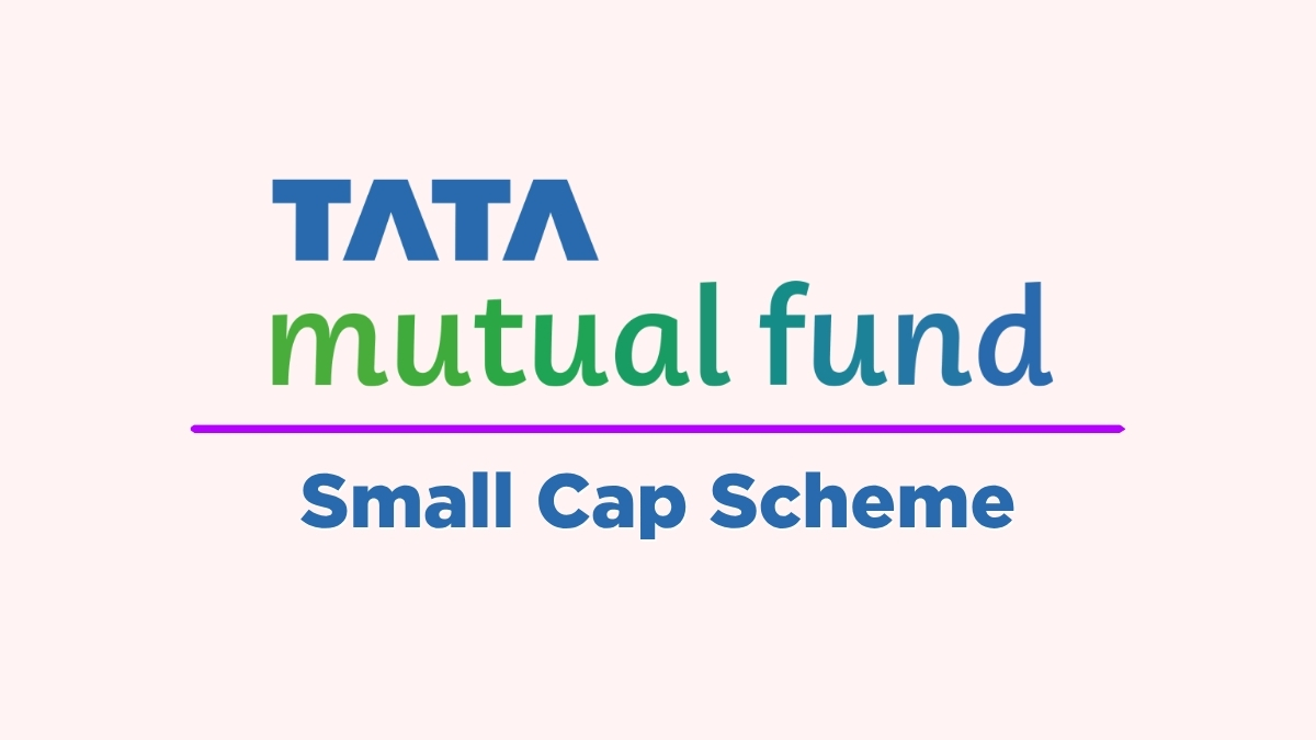 Tata Mutual Fund small cap scheme: Lumpsum investment resumes